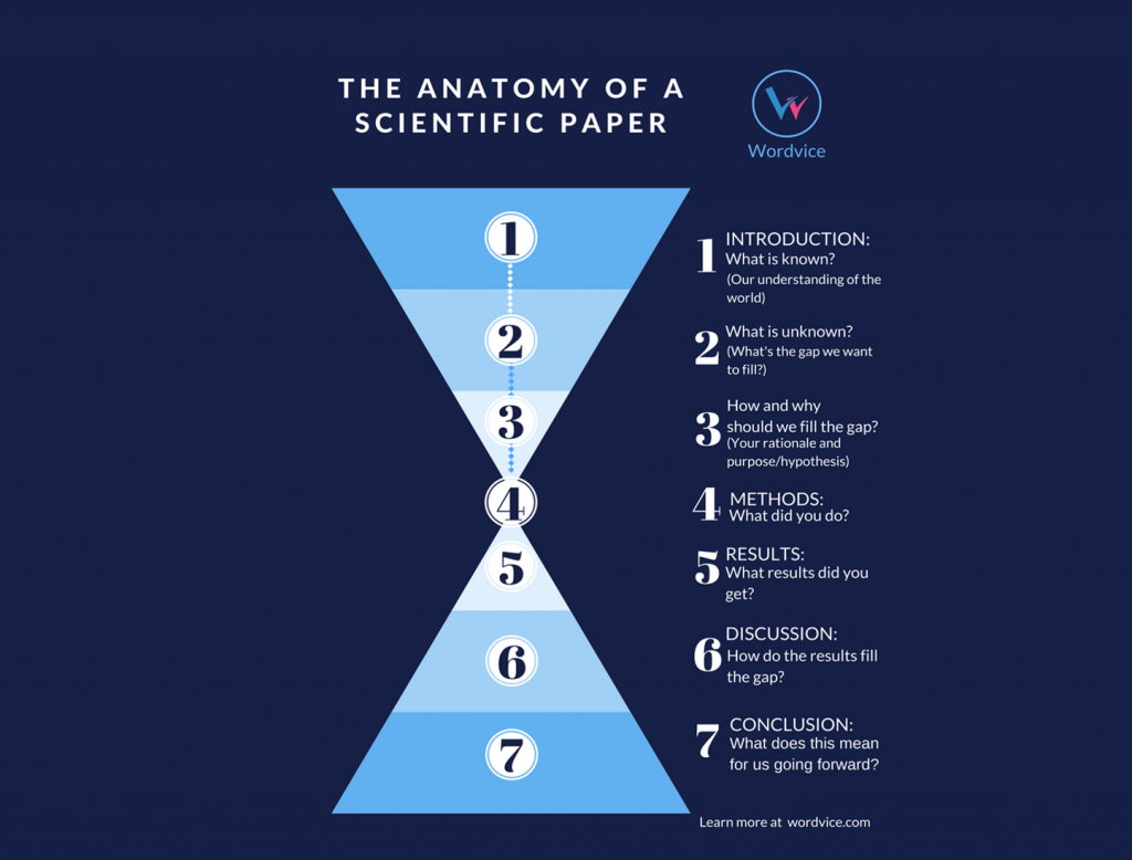 academic essay structure